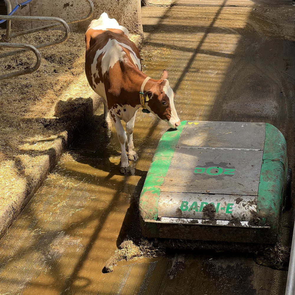 Barn-E PRO kūtsmēslu robots